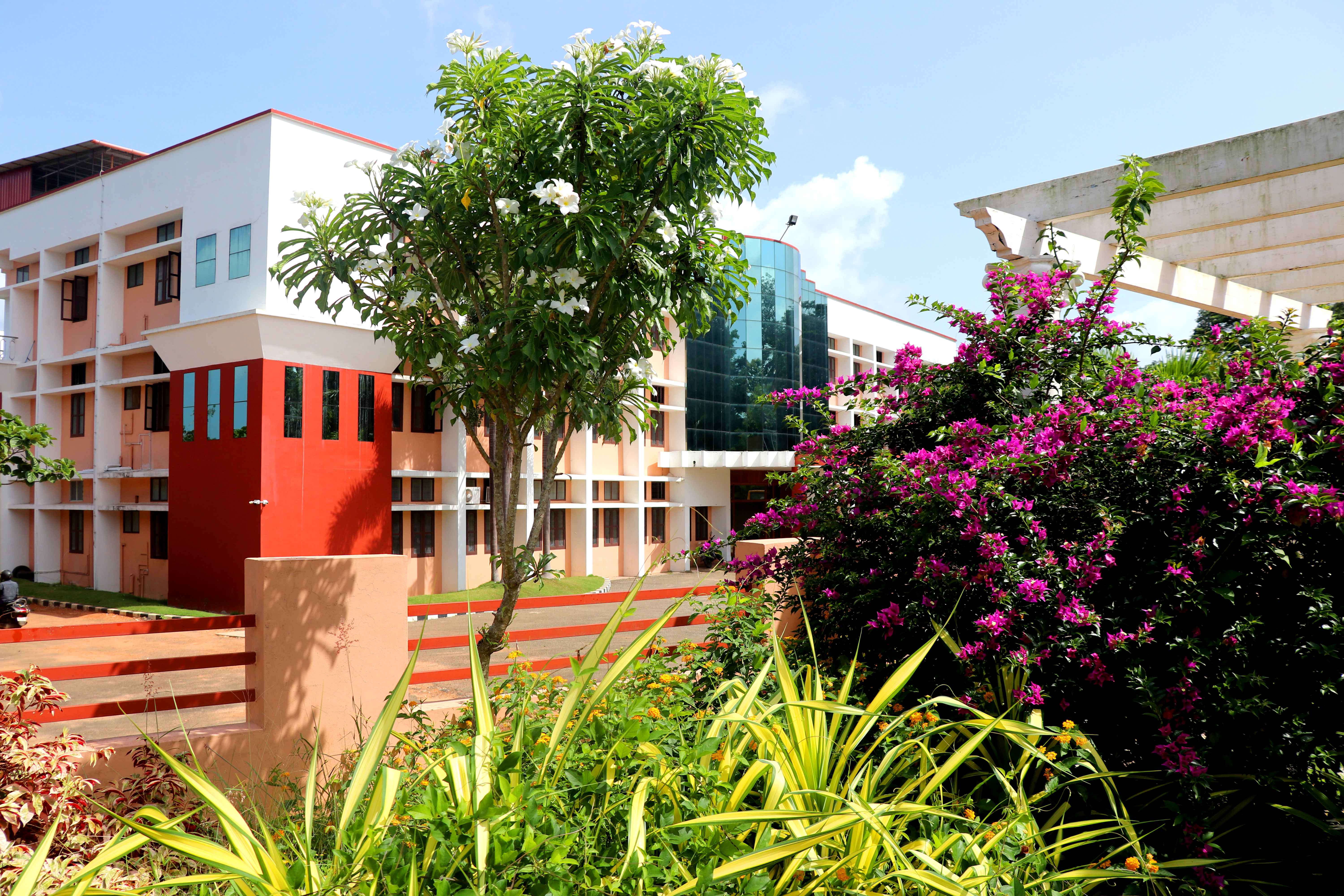 Green Plastic Free Campus